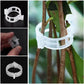 🌱🍅Plantenclips voor klimplanten – Tomatenhouders & Plantenbinders van kunststof