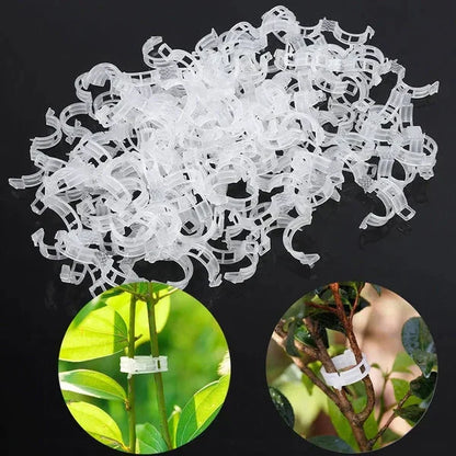 🌱🍅Plantenclips voor klimplanten – Tomatenhouders & Plantenbinders van kunststof