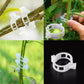 🌱🍅Plantenclips voor klimplanten – Tomatenhouders & Plantenbinders van kunststof