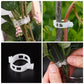 🌱🍅Plantenclips voor klimplanten – Tomatenhouders & Plantenbinders van kunststof