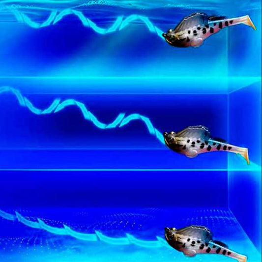 5-Delige T-Tail Softbait Set met Opbergdoos